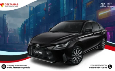 New Vios